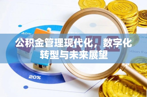谢家集公积金管理现代化，数字化转型与未来展望